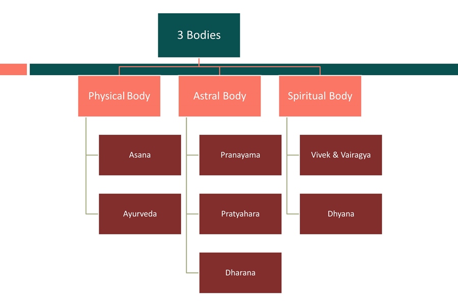 Holistic-Health-in-Light-of-Yoga-and-Ayurveda-2 Holistic Health in Light of Yoga and AyurvedaHolistic Health in Light of Yoga and Ayurveda