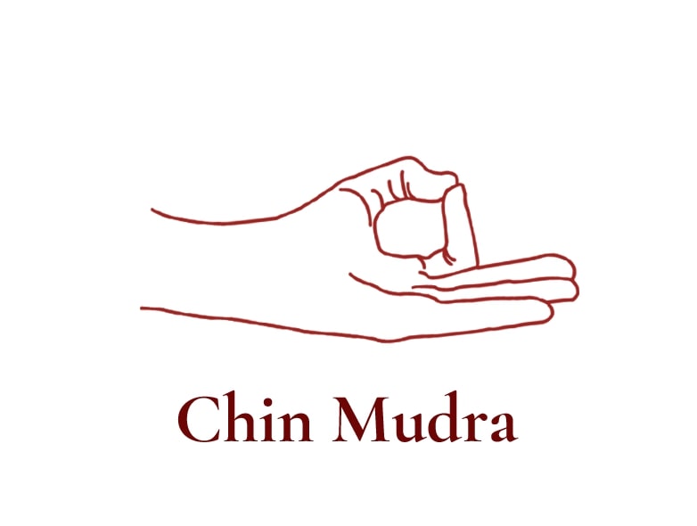 Chin Mudra Chin Mudra