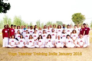 31 201601 hatha yoga course India