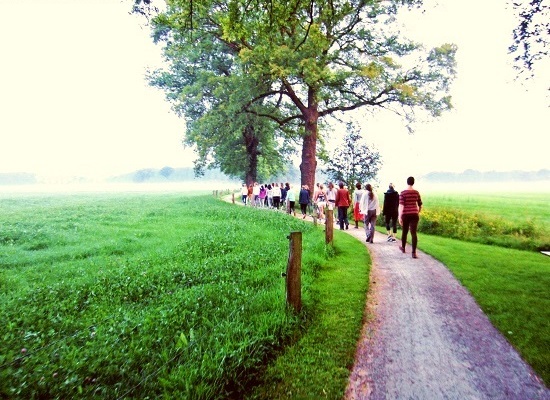 Arhanta Yoga Ashram Morning Walk