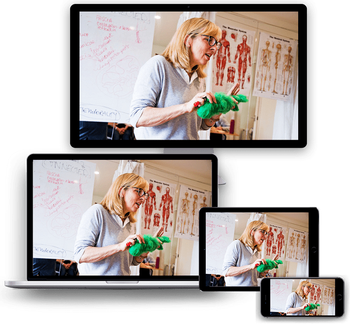 Online Fascia Yoga Teacher Training