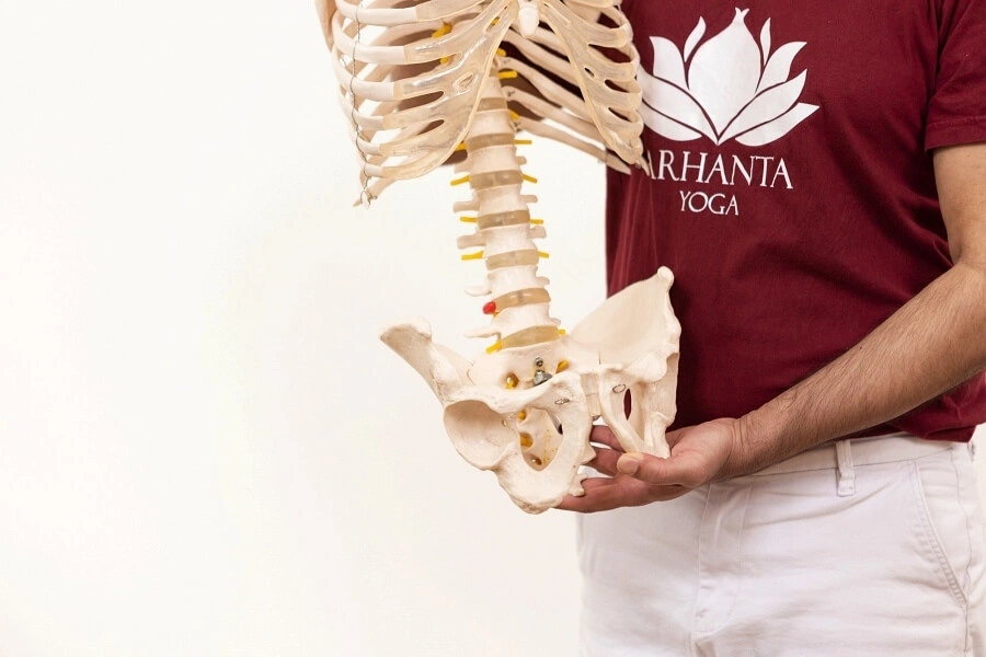 anatomy physiology