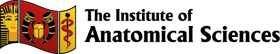 IAS Logo