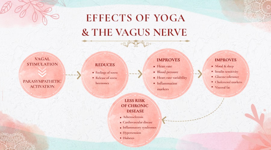 Effects of Yoga and The Vagus Nerve Effects of Yoga and The Vagus Nerve