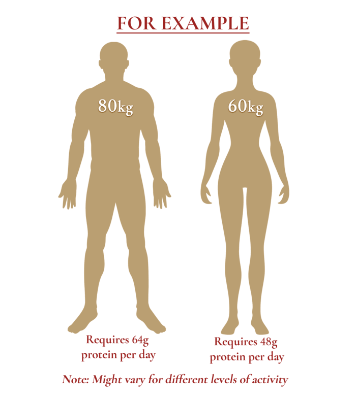 Protein Requirement Per Day