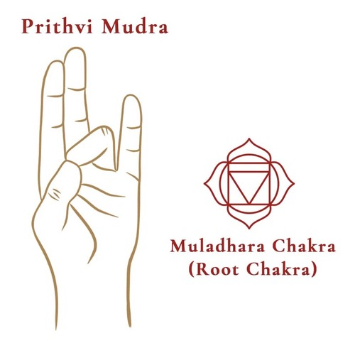 Prithvi Mudra Prithvi Mudra