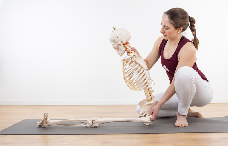 Physiology of yoga Physiology of yoga
