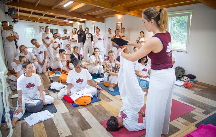 200-Hour Yoga Certification vs. 50- & 100-Hour Courses