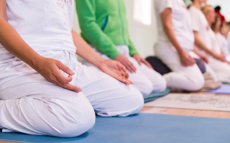 Yoga students sit in meditation position with Chin Mudra, practicing Bhastrika Pranayama for weight loss and metabolism Yoga students sit in meditation position with Chin Mudra, practicing Bhastrika Pranayama for weight loss and metabolism