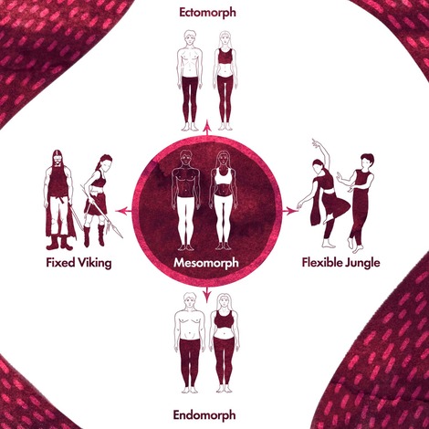 What Are Fascia Archetypes? Different Fascia Archetypes Explained