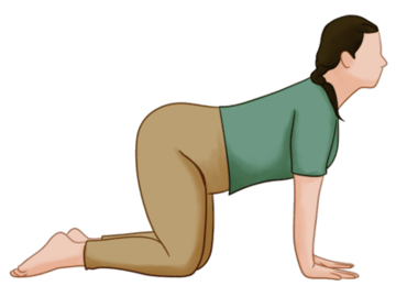 Yoga asanas for scoliosis - Cat Cow Pose -Marjaryasana–Bitilasana Yoga asanas for scoliosis - Cat Cow Pose -Marjaryasana–Bitilasana