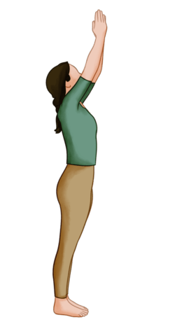 Yoga poses for scoliosis - Tadasana - Mountain Pose Yoga poses for scoliosis - Tadasana - Mountain Pose