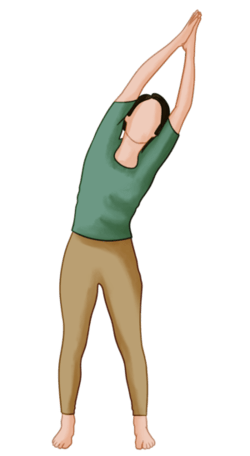 Triangle Pose -Trikonasana Triangle Pose -Trikonasana