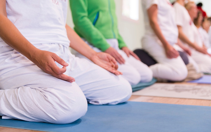 Meaning of Pranayama