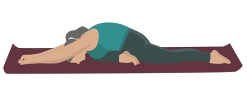 Dwi Pada Rajkapotasana – Purna Ushtrasana