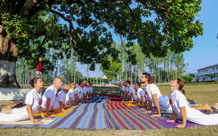 Step by step Vinyasa session Step by step Vinyasa session