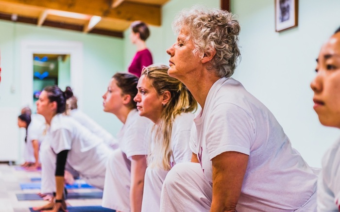 Group Vinyasa yoga class Group Vinyasa yoga class