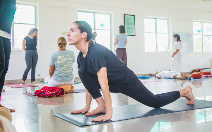 Yoga students practice transitions in yoga, stepping Forward from Downward Dog to Lunge Yoga students practice transitions in yoga, stepping Forward from Downward Dog to Lunge