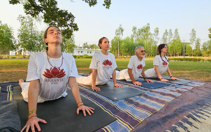 Yoga students transition from Chaturanga to Upward-Facing Dog Yoga students transition from Chaturanga to Upward-Facing Dog