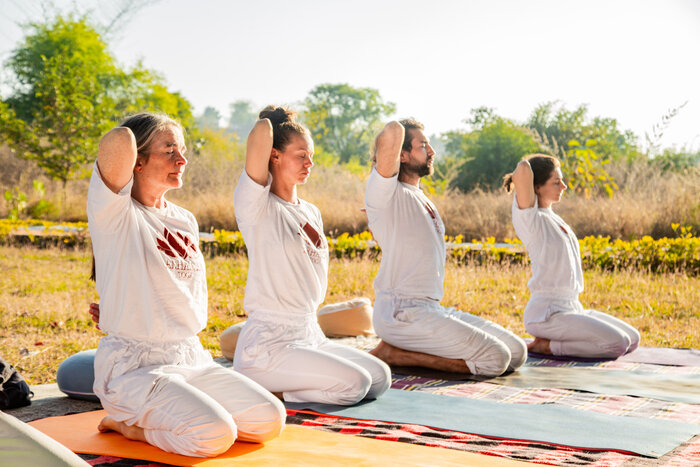 Group of yoga practitioners hold a Yin yoga pose Group of yoga practitioners hold a Yin yoga pose