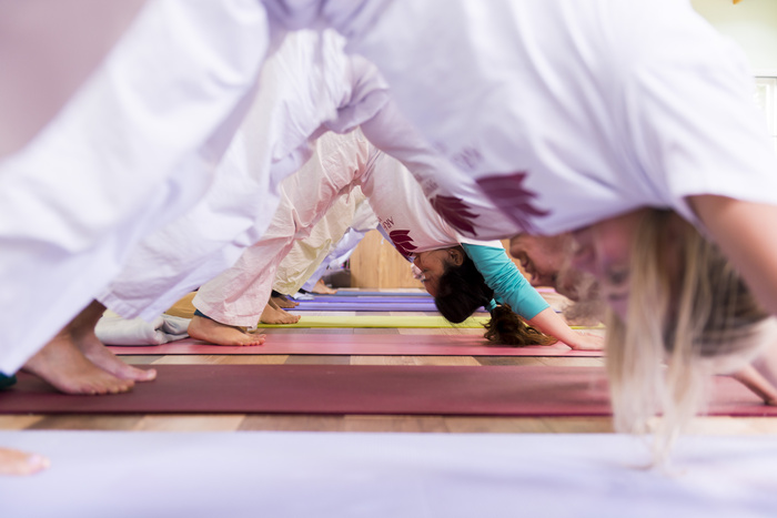 Group of students practicing downward dog at yoga ashram