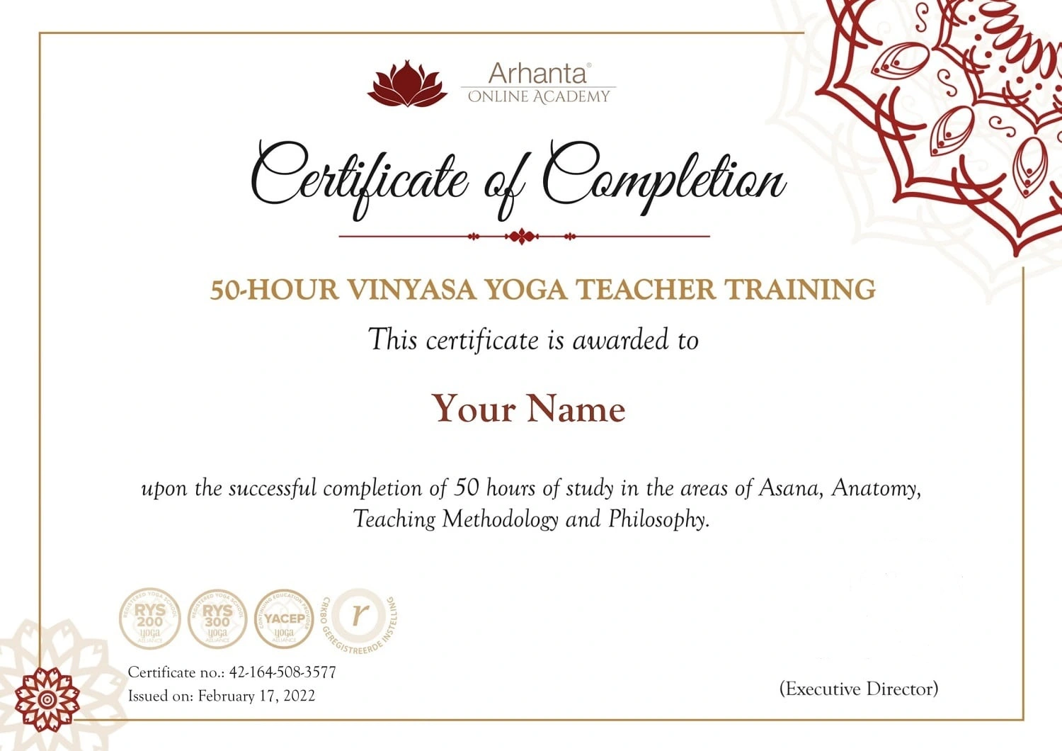50 Hour Vinyasa Yoga Certificate