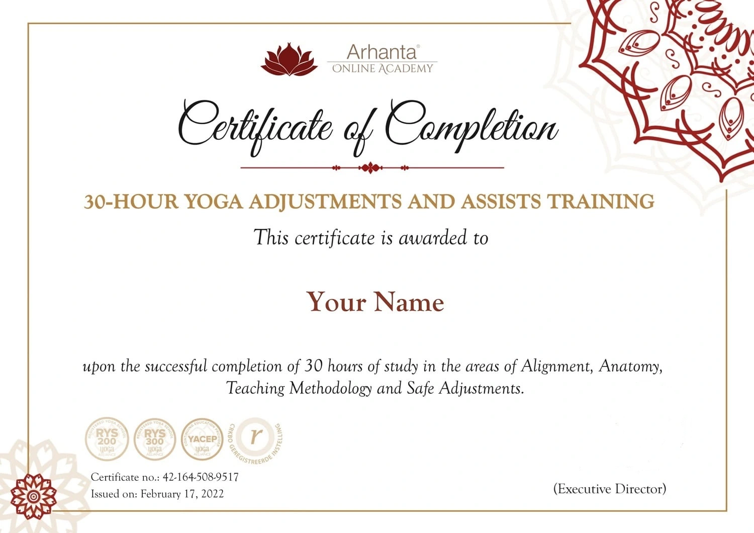 30 Hour Yoga Adjustments and Assists certification