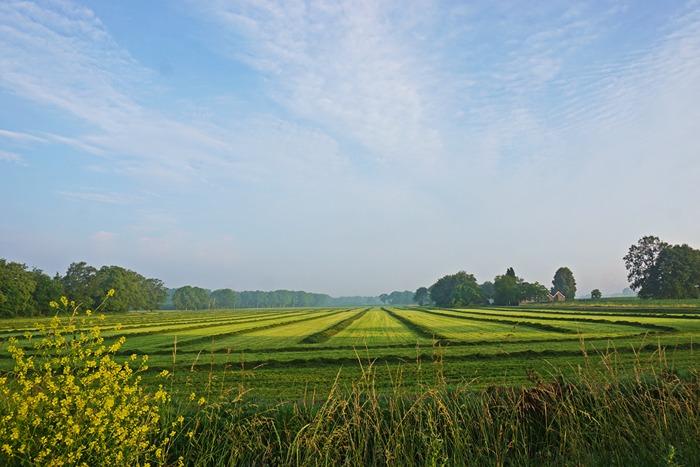 Peaceful countryside summer view surrounding Arhanta Yoga Ashram under a bright sunny sky Peaceful countryside summer view surrounding Arhanta Yoga Ashram under a bright sunny sky