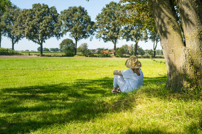Practicing Pratyahara Through Time in Nature Yoga student sitting quietly under a tree reflecting the calming practice of Pratyahara in modern life
