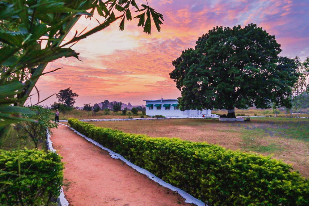 dawn-view.jpg